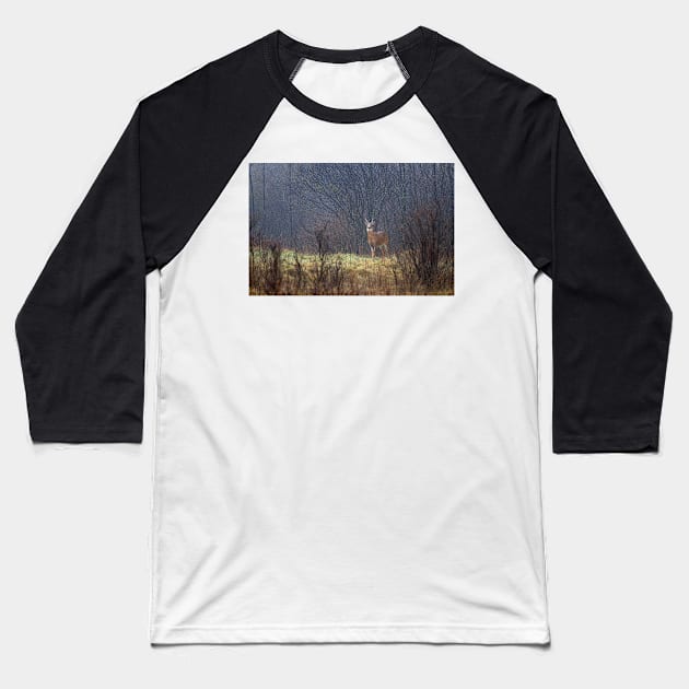 Sentry - White-tailed deer Baseball T-Shirt by Jim Cumming